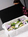 BOX 51