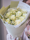 BUKET 297