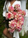 BUKET 552
