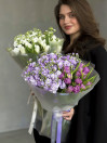 BUKET 679