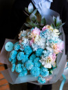 BUKET 569