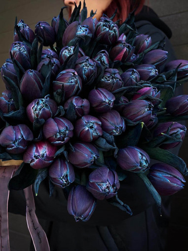 TULIP DOUBLE PAINTED