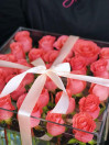 Crystal Box 25 роз "Amsterdam"
