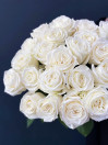 Роза Playa Blanca